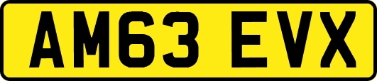 AM63EVX