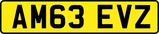 AM63EVZ