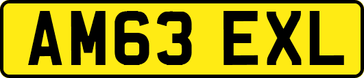AM63EXL