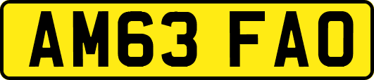 AM63FAO
