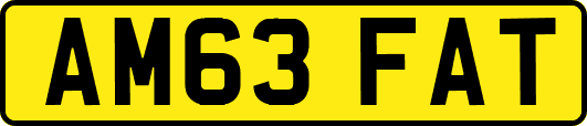 AM63FAT