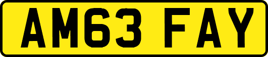 AM63FAY