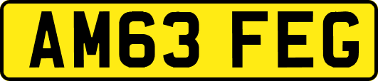 AM63FEG