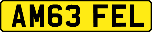 AM63FEL