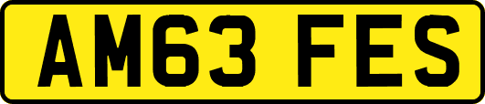 AM63FES