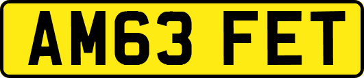 AM63FET