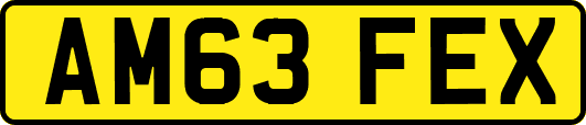 AM63FEX