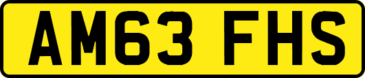 AM63FHS