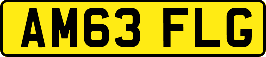 AM63FLG