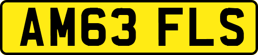 AM63FLS