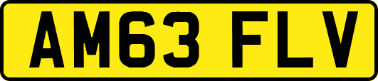 AM63FLV