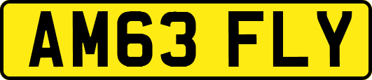 AM63FLY