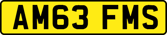 AM63FMS