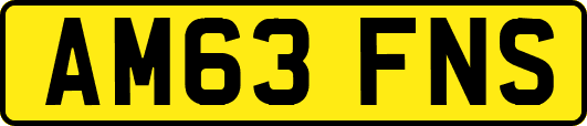 AM63FNS