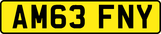 AM63FNY