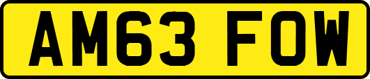 AM63FOW
