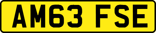 AM63FSE