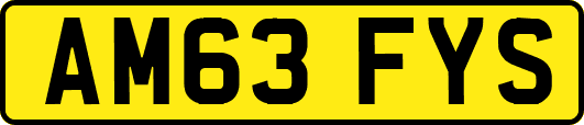 AM63FYS