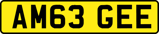 AM63GEE