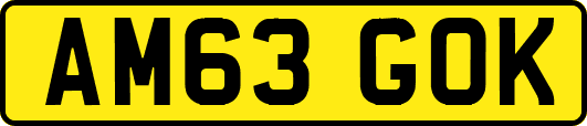 AM63GOK