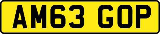 AM63GOP