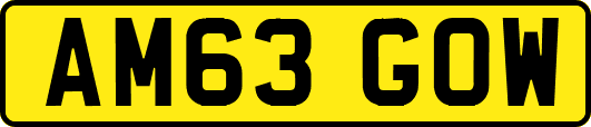 AM63GOW