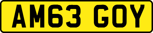 AM63GOY