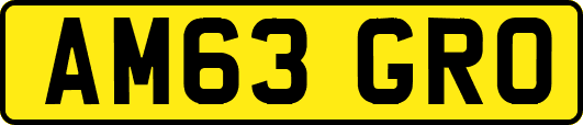 AM63GRO