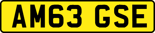 AM63GSE