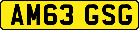 AM63GSG