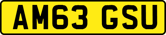 AM63GSU