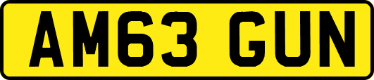 AM63GUN