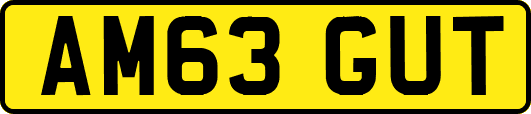 AM63GUT
