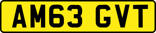 AM63GVT