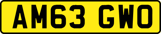 AM63GWO