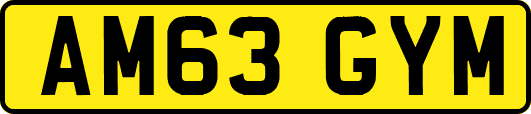 AM63GYM