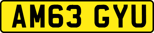 AM63GYU