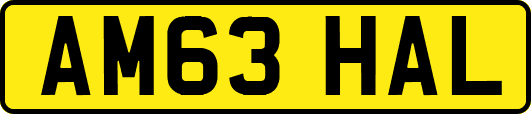 AM63HAL