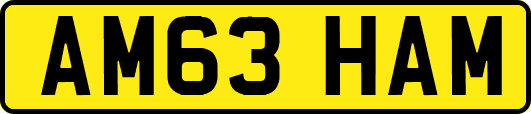 AM63HAM