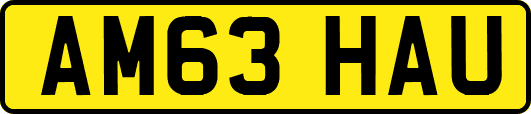 AM63HAU