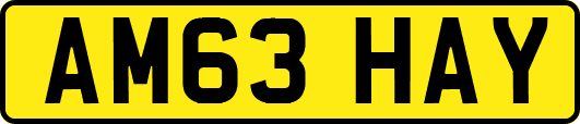 AM63HAY