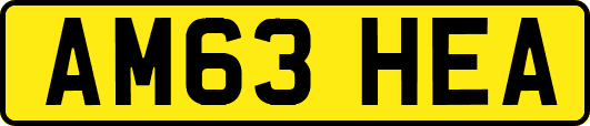 AM63HEA
