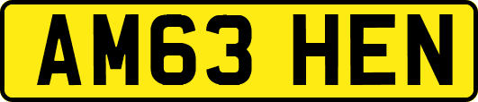 AM63HEN