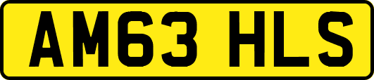 AM63HLS