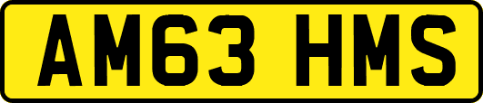 AM63HMS
