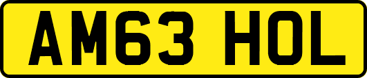 AM63HOL