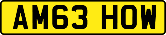 AM63HOW