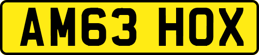 AM63HOX