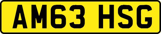 AM63HSG