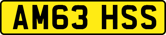 AM63HSS